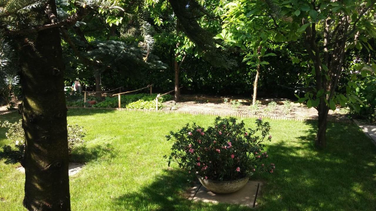B&B Mary Pero Bagian luar foto